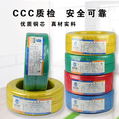 BV 銅芯聚氯乙烯絕緣電纜